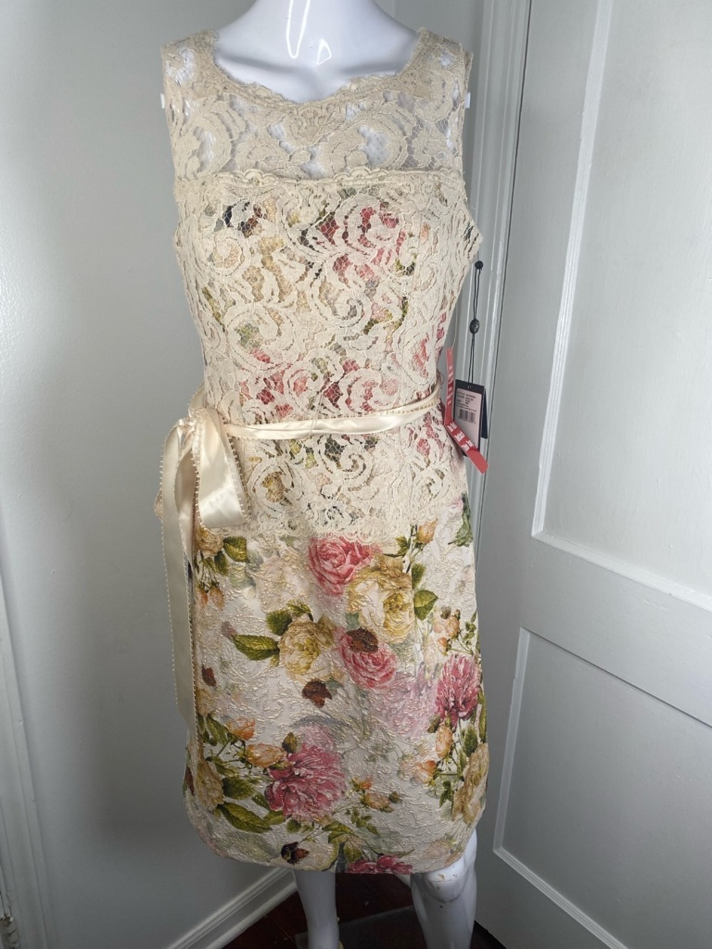 Adrianna Papell NWT English Rose and Cream Lace Floral Dress